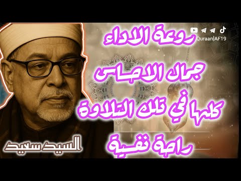 تلاوة خاشعة ومهيبة بصوت القارئ الشيخ السيد سعيد من سورة المائدة