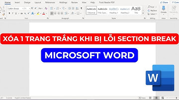 Hướng dẫn xóa 1 trang trắng khi bị lỗi Section Break trong Microsoft Word