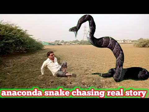 anaconda snake chasing 😱 real video | anaconda snake real story in