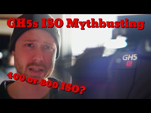 The GH5s naitive