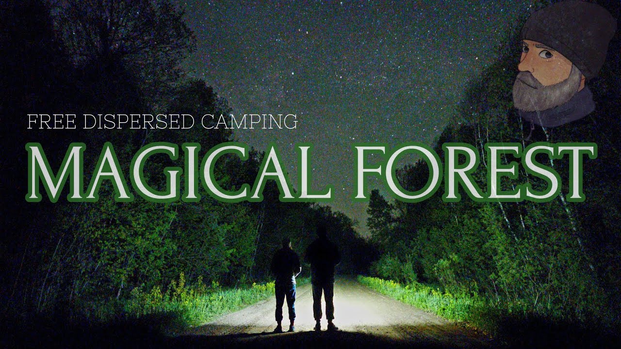 Dispersed Camping: Rum River State Forest