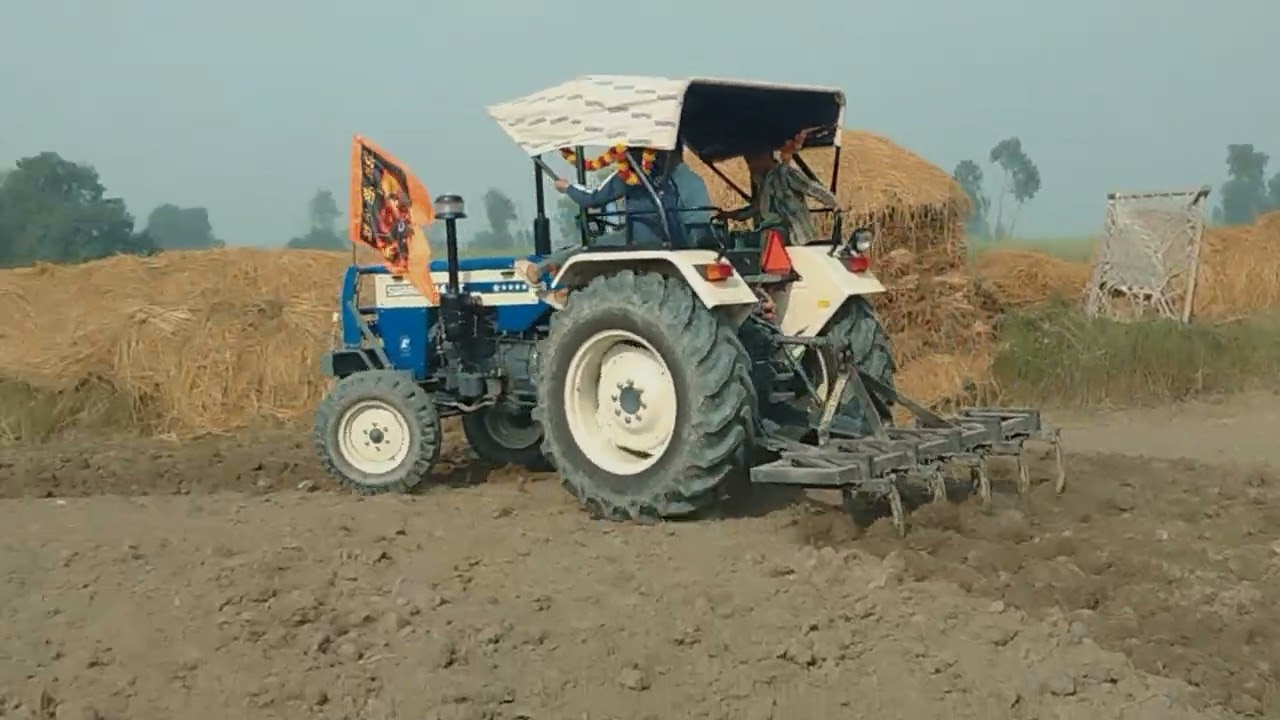 सरसों की बुआई