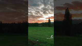 Upeo, Maule Chile #nature #naturaleza