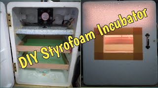 DIY Styrobox egg incubator 60 eggs capacity.