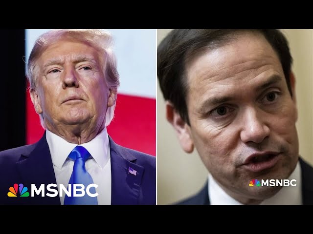 Rubio 'one of the saddest stories in American politics': Trump eyeing Rubio as VP pick class=