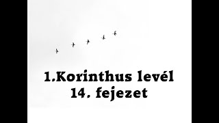 1. Korintus levél 14. fejezet  - Folk Zsuzsa