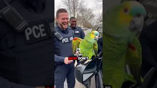 The Only Bird That Roasted the Police 😂🦜