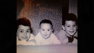 A YEAR IN THE LIFE Paul Zarvis