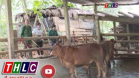 Gương điển hình tiên tiến (01/8/2020) | THLC