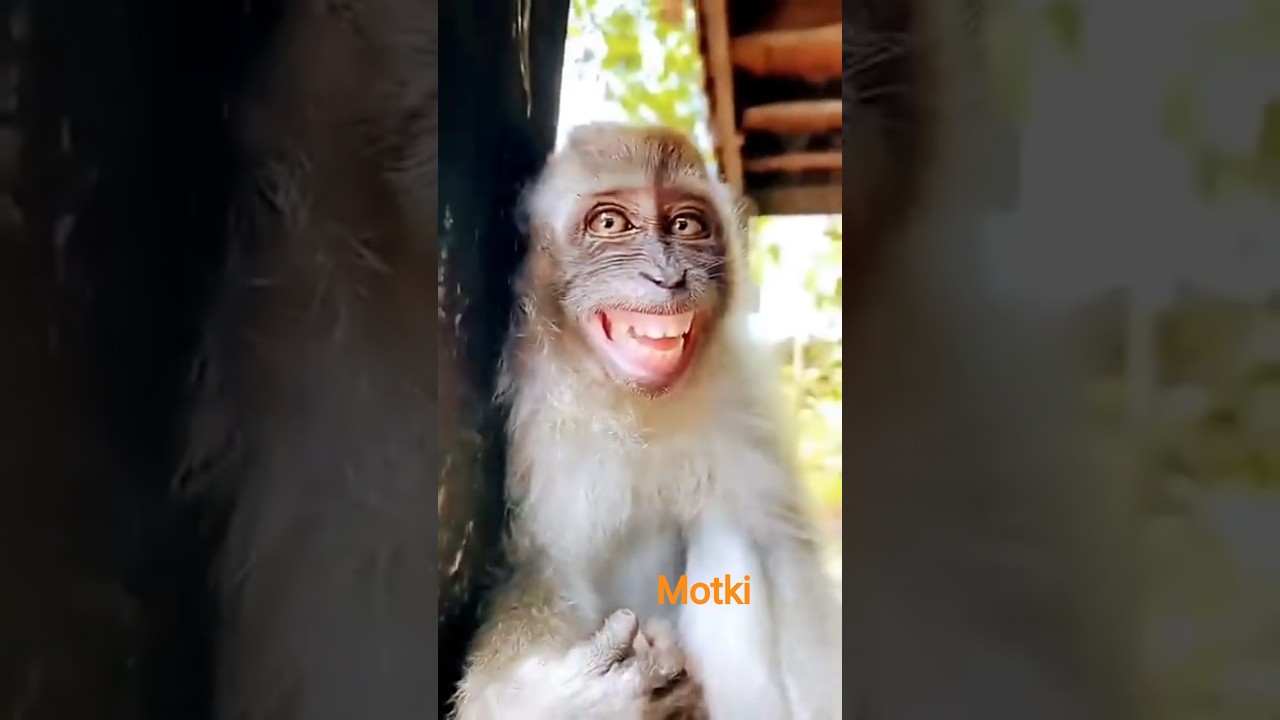 😘mogki 🔥 shot video 