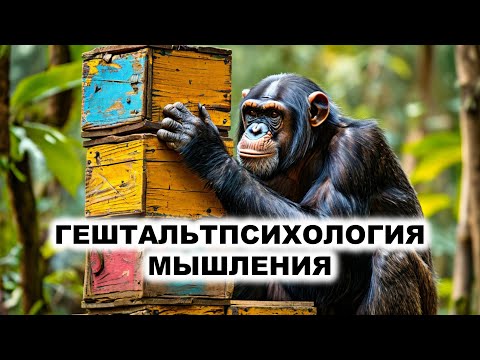 04.3. Гештальттеория мышления
