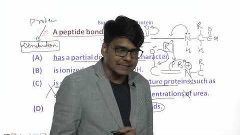 Protein Questions and Answer Video Solution. Protein Digestions | Protein MCQ CSIR NET Life Science