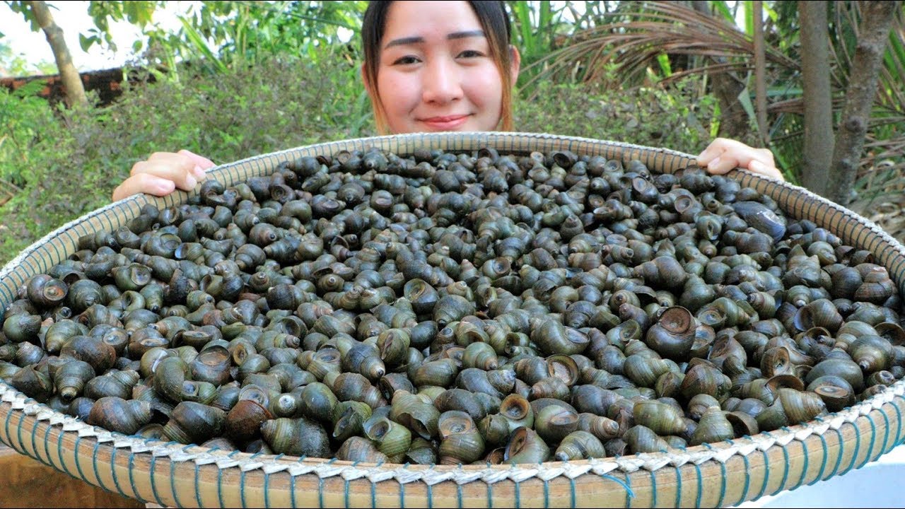 Yummy River Snail Cooking Holy Basil River Snail Stir Fry Recipe