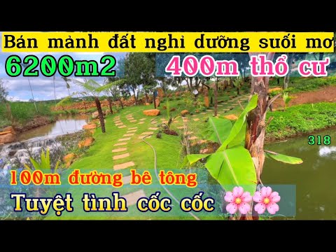 Video Bán lô đất nghỉ dưỡng suối mơ 6200m2 cây trái mát mẻ... - youtube