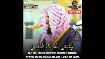 سورة الأنعام 162-163 | تلاوة شريم | The holy dvd English