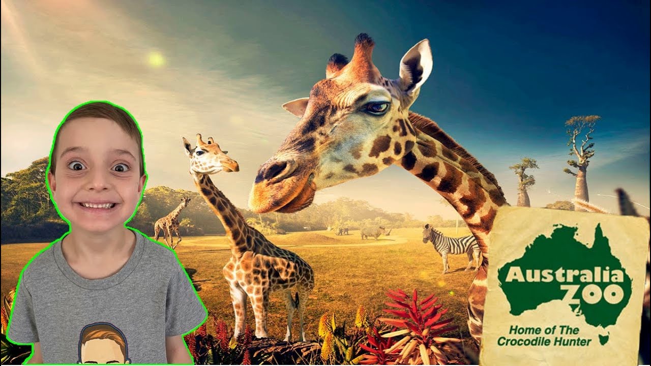 I visited AUSTRALIA ZOO YouTube