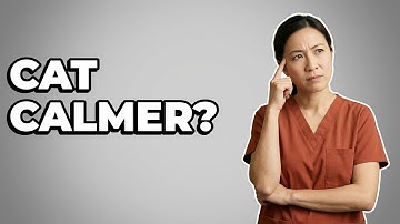 Can Pheromone Diffusers Ease New Cat Anxiety?