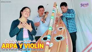 Huaynos Al Estilo Del Arpa Y Violín Con Solecita De Chicmo Saywa Saywin Y Pardo De Andahuaylas