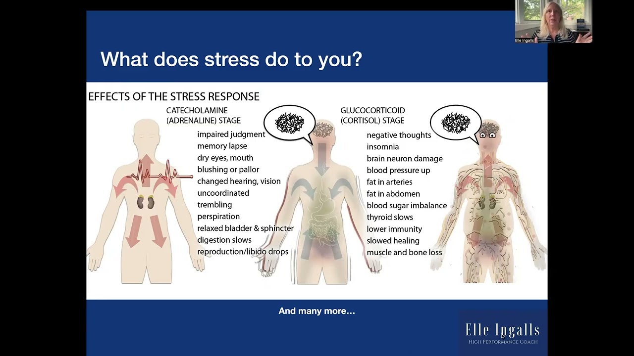 Session 1 of Pressure Free Living Intro Course