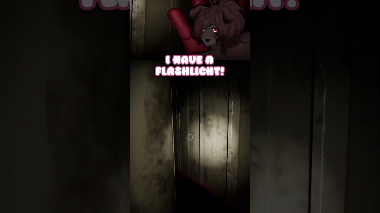 flashlight #vtuber #shorts #anniepants