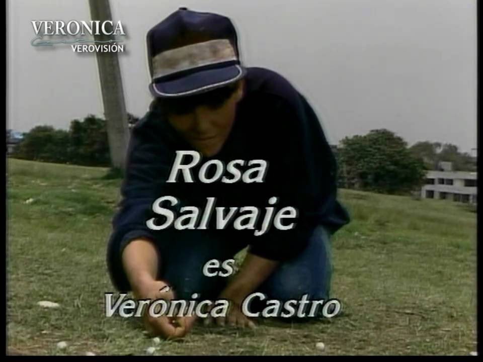 Entrada de la telenovela Rosa Salvaje