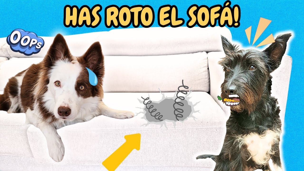 ¡MEL HA ROTO EL SOFÁ! 😱Las Aventuras de Lana