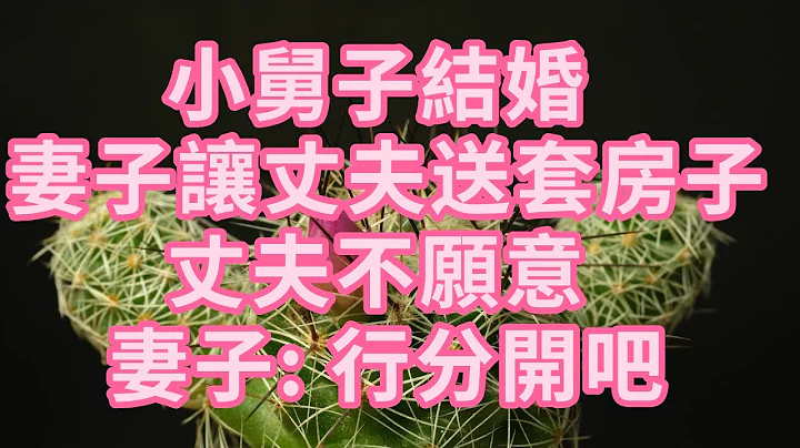 小舅子结婚 妻子让丈夫送套房子 丈夫不愿意 妻子:行分开吧 #幸福人生 #深夜浅读 #为人处世 #生活经验 #情感故事 #老人#健康 - 天天要闻