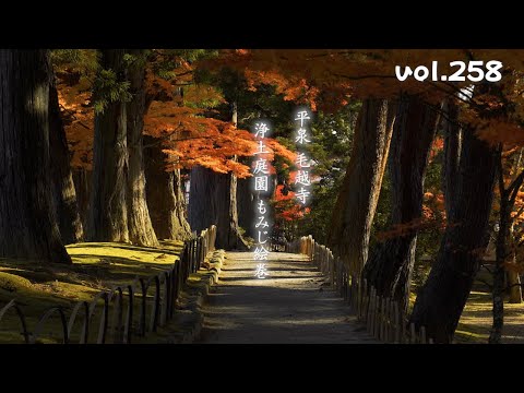 2024東北紅葉ハンター】世界遺産 平泉 毛越寺 浄土庭園 もみじ絵巻