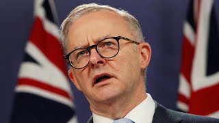 'Not up to the job’: Voters slam Anthony Albanese as a ‘beta male’ screenshot 2