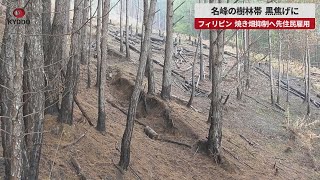 【速報】名峰の樹林帯、黒焦げに フィリピン、焼き畑抑制へ先住民雇用