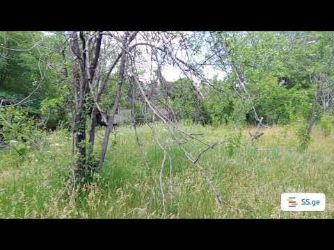 იყიდება მიწის ნაკვეთი გლდანში