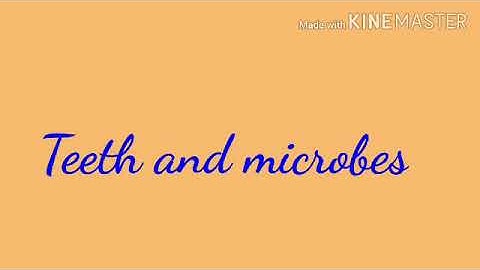 6.Teeth and microbes,Class-4, Part-2