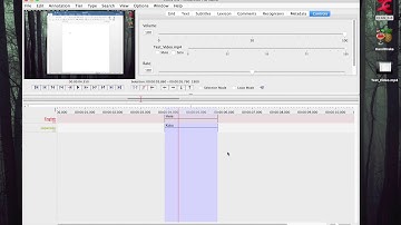LDTC ELP 2020 Webinar #6 - Subtitling in ELAN