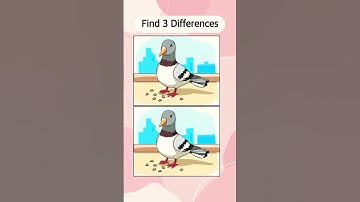 Quick Challenge! Can You Spot the Changes? #540