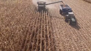 I-80 Harvest Tour: Illinois Farmers Find Surprising Yield Results on Corn and Soybeans