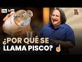 ¿Por qué el pisco se llama pisco? La historia que pocos conocen