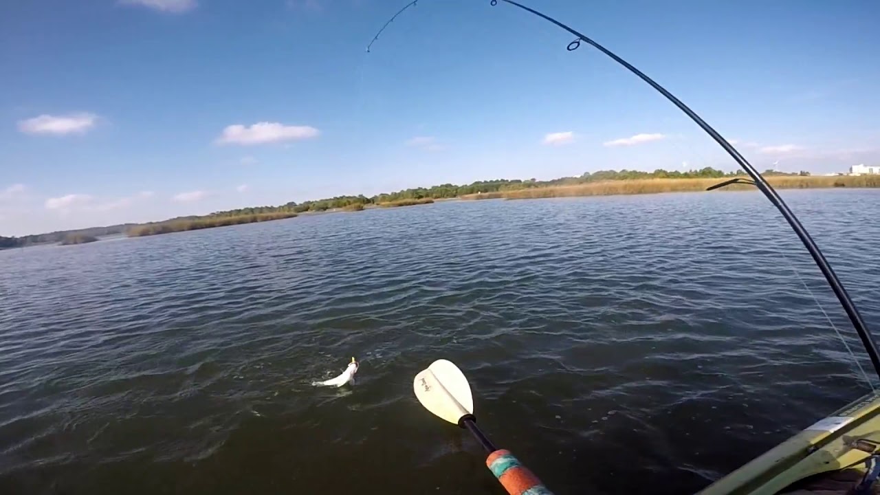 Lynnhaven Inlet Speckled Trout Fishing YouTube