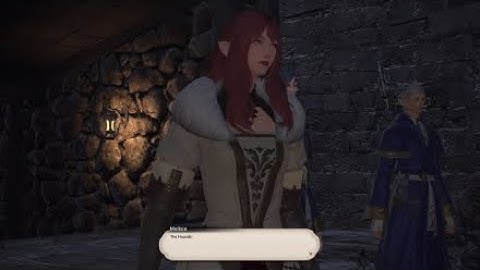 FINAL FANTASY XIV StormBlood - The Mongrel and the Knight