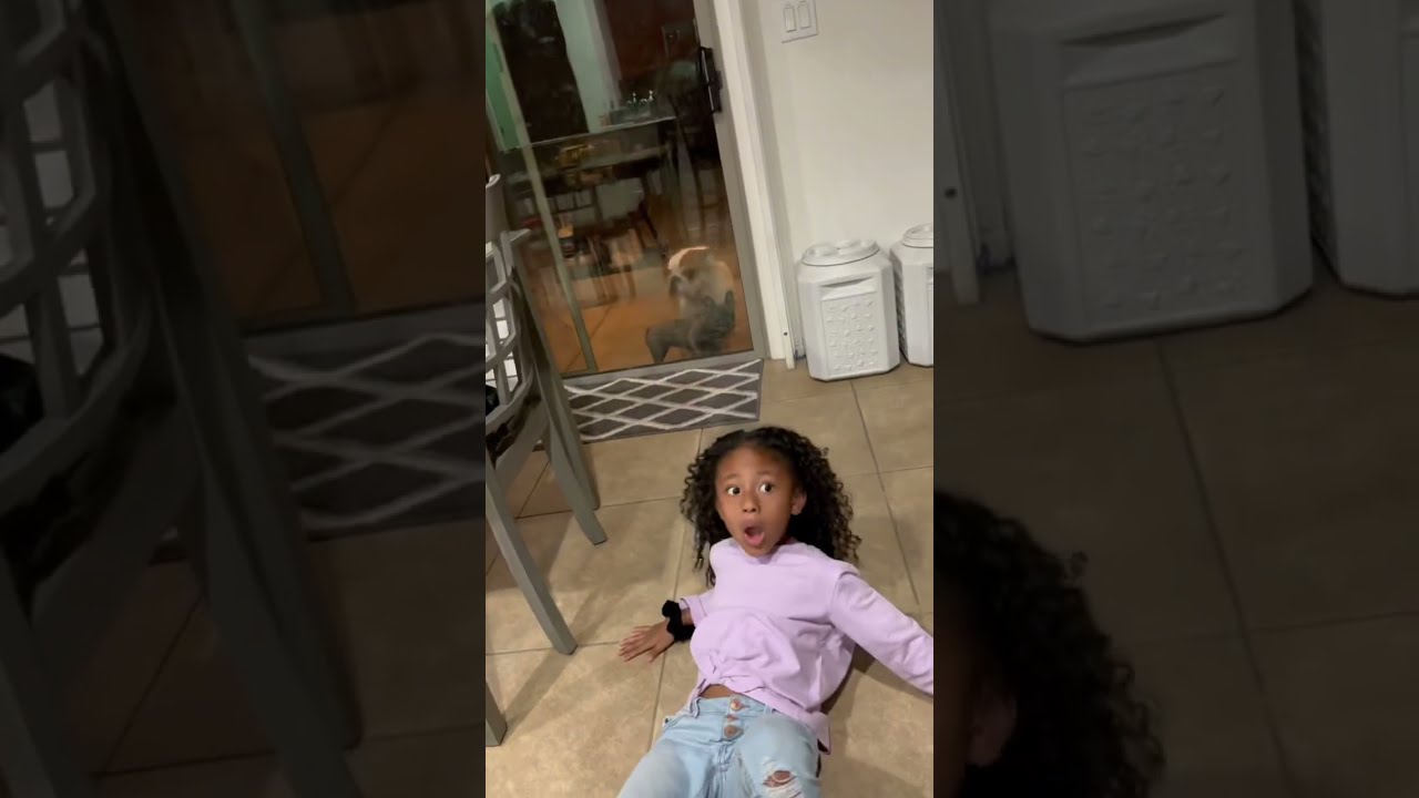 HER REACTION AFTER SHE FELL 