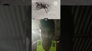 esse ENCANTAMENTO tem um EFEITO SECRETO