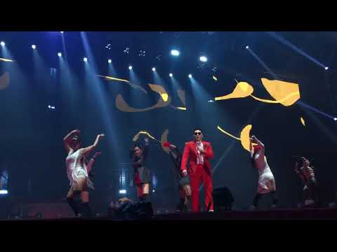 191224 싸이(PSY) - 오늘밤새 [싸이 올나잇스탠드 2019 광끼의 갓싸이 - 서울 막공]