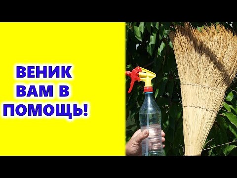 Video: Сапаттуу мейкиндик