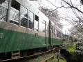 2010年・京福電気鉄道・北野線・ 桜のトンネル（京都市）