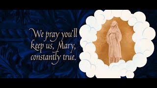 Mass of Solemnity of the Immaculate Conception of the Blessed Virgin Mary