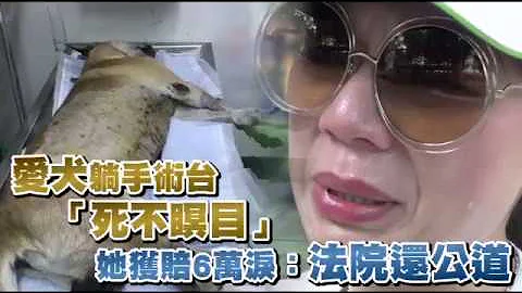愛犬手術台上「死不瞑目」　她割心淚告醫院獲公道 | 台灣蘋果日報 - 天天要聞