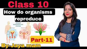 How do Organisms Reproduce :class-10th: Birth control methods and sexually transmitted diseases
