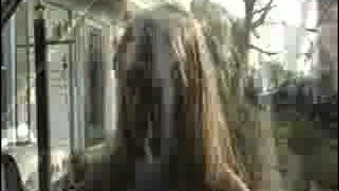 12vdb.com - car audio database: Various Auntscare.1