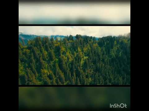 عودي انشودة انتظرناها كثيرا رامي محمد اداء مصطفي جاد