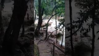 El Salto Del Limon, Samana