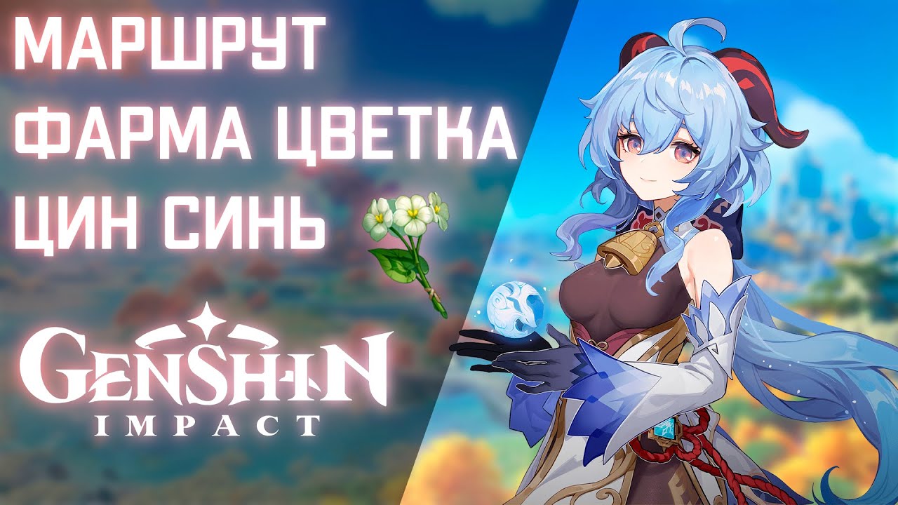 Где Можно Купить Цветок Цинсинь Genshin